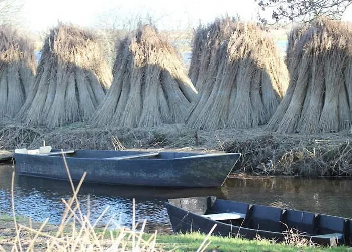 Casa de Férias En Briere: Proche Guerande, Jardin Prive, 2 - Fr-1-306-941 Saint-Lyphard