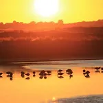 Сasa de vacaciones En Brière: Proche Guérande, Jardin Privé, 2 - Fr-1-306-941 *