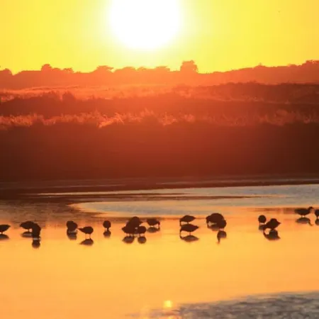 Vakantiehuis En Briere: Proche Guerande, Jardin Prive, 2 - Fr-1-306-941 *