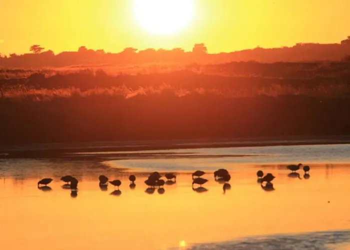 בית נופש En Briere: Proche Guerande, Jardin Prive, 2 - Fr-1-306-941 *