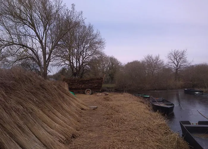 בית נופש En Briere: Proche Guerande, Jardin Prive, 2 - Fr-1-306-941 *